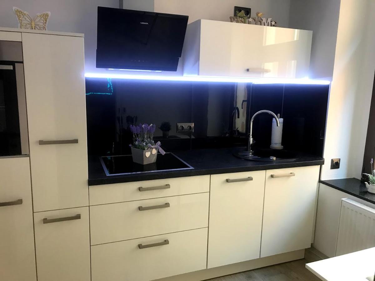 Salzhausblick Business Apartments - Zentrale Lage Am Salzhaus - Mwst-Rechnung Verfuegbar ツィッタウ 部屋 写真