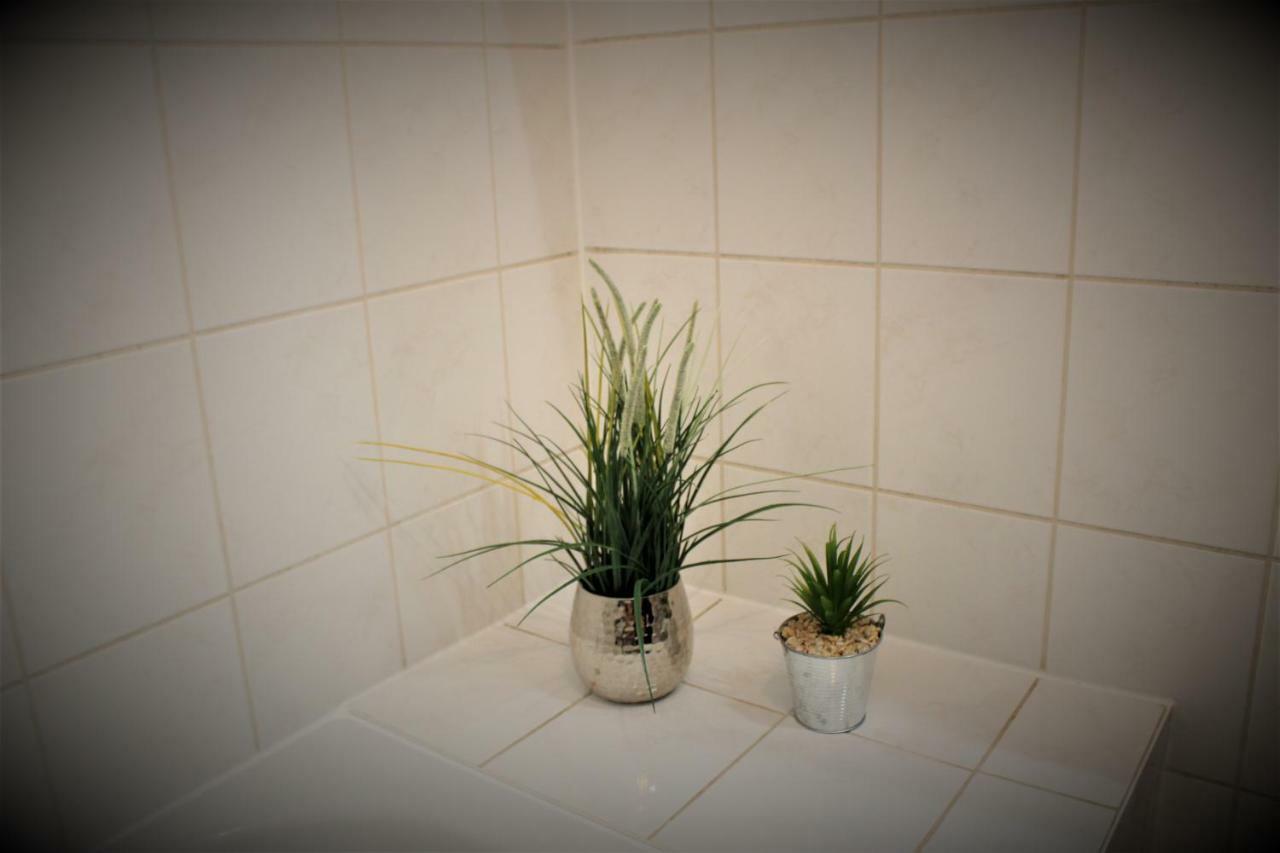 Salzhausblick Business Apartments - Zentrale Lage Am Salzhaus - Mwst-Rechnung Verfuegbar ツィッタウ エクステリア 写真